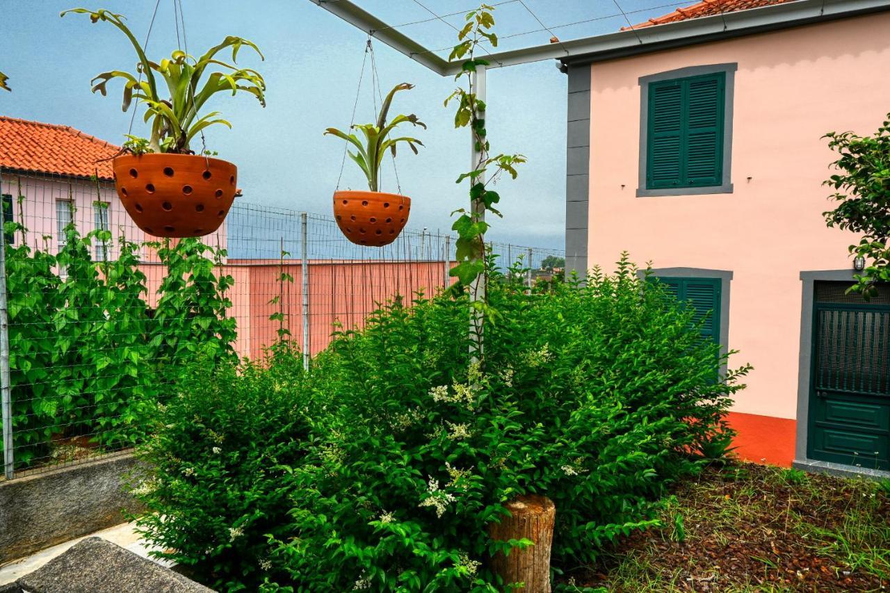 Os Ferreirinhos, A Home In Madeira Sao Jorge  Luaran gambar